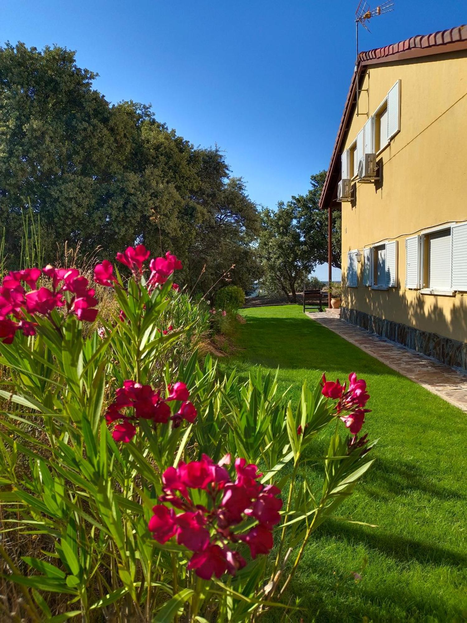 El Encinar De Gabino Villa Zarzuela del Monte Exterior foto